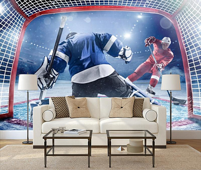 Ворота хоккеиста в интерьере гостиной с диваном