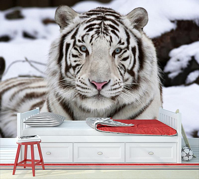 Белый тигр на снегу в интерьере детской комнаты мальчика