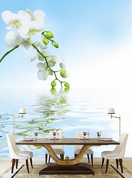 Белая орхидея на голубом фоне в интерьере кухни с большим столом