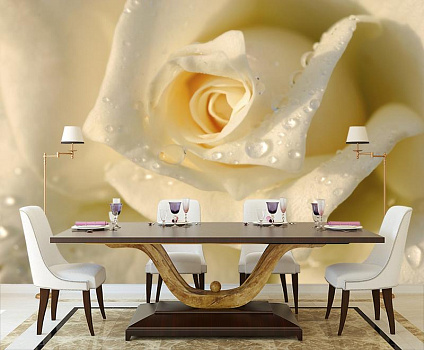 Капли на белой розе в интерьере кухни с большим столом