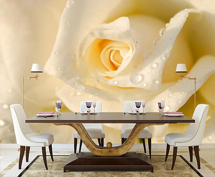Роза с капельками росы в интерьере кухни с большим столом