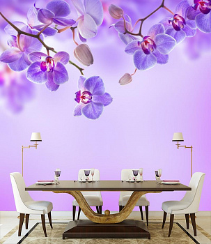 Фиалковая орхидея  в интерьере кухни с большим столом