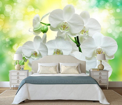Букет из белых орхидей в интерьере спальни