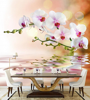 Белая орхидея над водой в интерьере кухни с большим столом