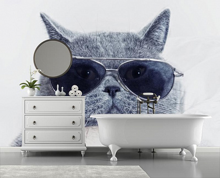 Кот ученый в интерьере ванной