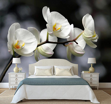 Нежная орхидея в интерьере спальни
