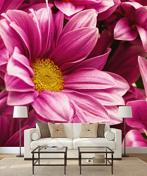 Розовые цветы в интерьере гостиной с диваном