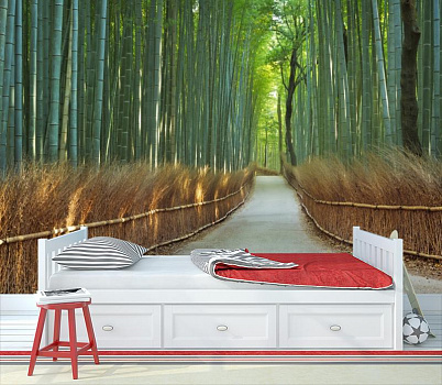 Дорога среди бамбука в интерьере детской комнаты мальчика