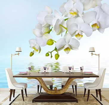 Отражение орхидеи  в интерьере кухни с большим столом