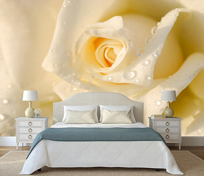 Роза с капельками росы в интерьере спальни