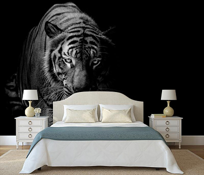 Тигр в темноте в интерьере спальни