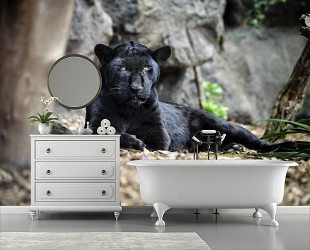 Пантера отдыхает в интерьере ванной