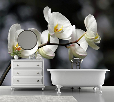 Нежная орхидея в интерьере ванной
