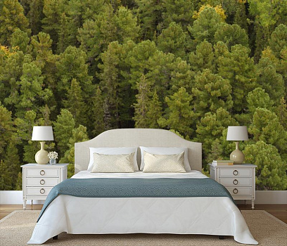 Зеленый хвойный лес в интерьере спальни
