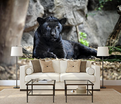 Пантера отдыхает в интерьере гостиной с диваном