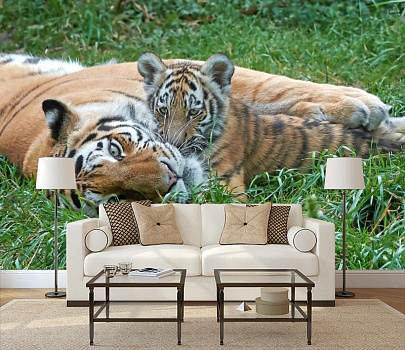 Тигрица с тигренком в интерьере гостиной с диваном