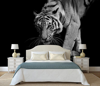 Тигр в ночи в интерьере спальни