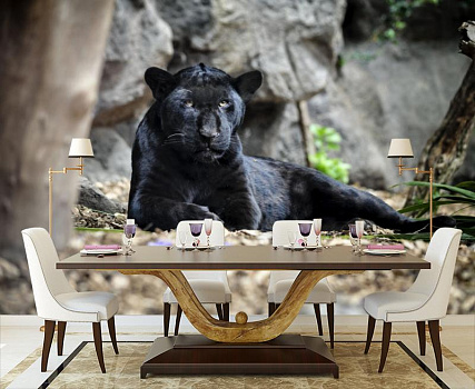 Пантера отдыхает в интерьере кухни с большим столом