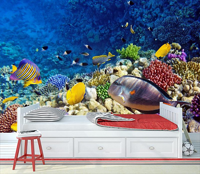 Красочный подводный мир в интерьере детской комнаты мальчика