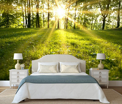 Солнце на траве в интерьере спальни