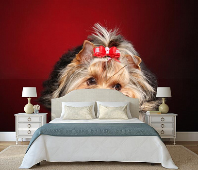 Собачка с бантиком в интерьере спальни