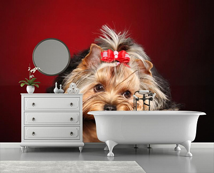 Собачка с бантиком в интерьере ванной