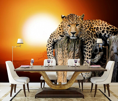 Леопард на закате в интерьере кухни с большим столом
