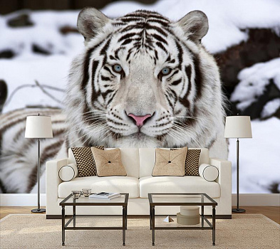 Белый тигр на снегу в интерьере гостиной с диваном
