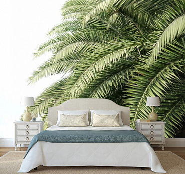 Пальмовые ветви в интерьере спальни