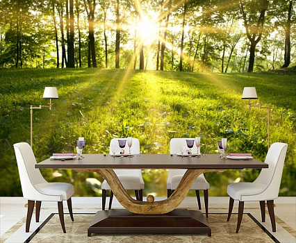Солнце на траве в интерьере кухни с большим столом