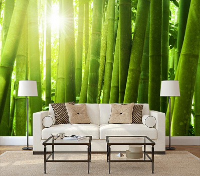 Светящийся бамбук в интерьере гостиной с диваном