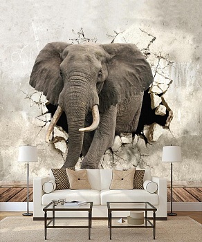 Слон в стене в интерьере гостиной с диваном