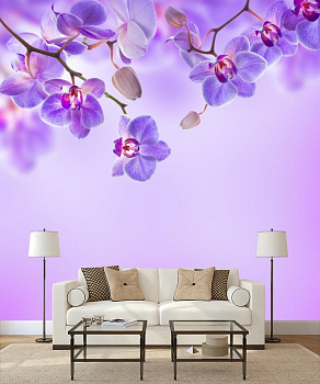 Фиалковая орхидея  в интерьере гостиной с диваном