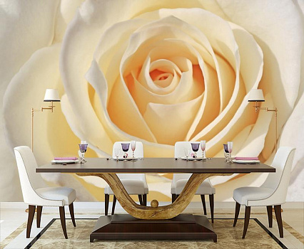 Теплая белая роза  в интерьере кухни с большим столом