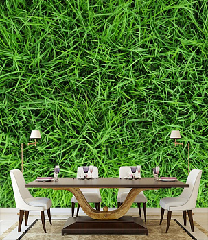 Зеленая трава в интерьере кухни с большим столом