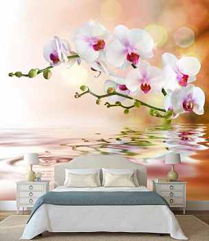 Белая орхидея над водой в интерьере спальни