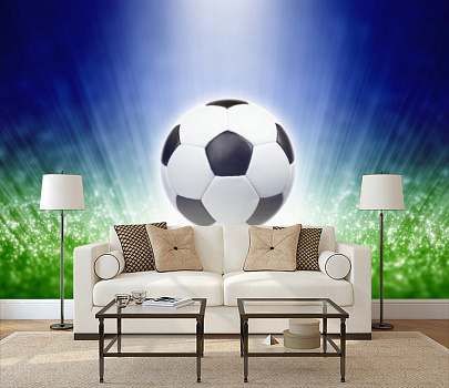 Футбольный мяч в интерьере гостиной с диваном