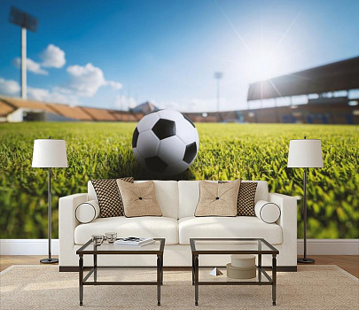 Футбольный мяч на стадионе в интерьере гостиной с диваном