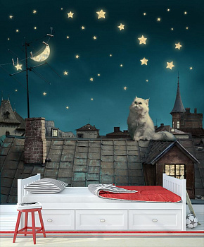 Кот на крыше в интерьере детской комнаты мальчика