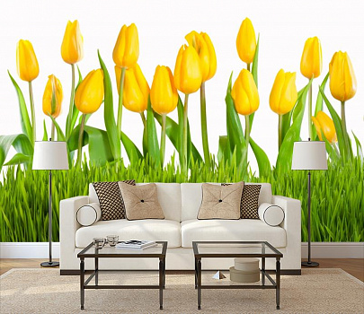 Желтые тюльпаны в интерьере гостиной с диваном
