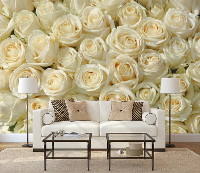 Нежные белые розы в интерьере гостиной с диваном
