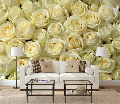 Гармония белых роз в интерьере гостиной с диваном