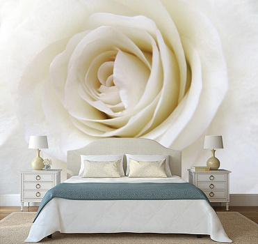 Бутон белой розы  в интерьере спальни