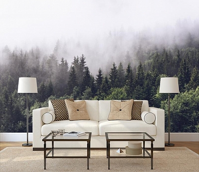Туман в хвойном лесу в интерьере гостиной с диваном