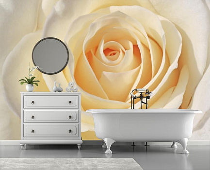 Теплая белая роза  в интерьере ванной