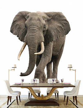 Слон в интерьере кухни с большим столом