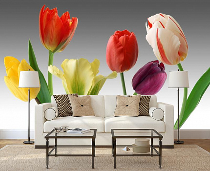 Разноцветные тюльпаны в интерьере гостиной с диваном