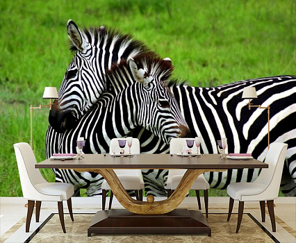 Зебра и зебренок в интерьере кухни с большим столом
