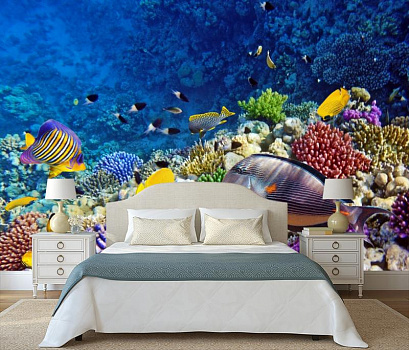 Красочный подводный мир в интерьере спальни