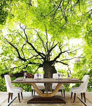 Прозрачная листва деревьев в интерьере кухни с большим столом